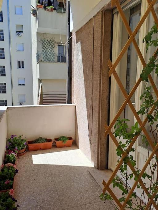 Appartamento Casa Daisy Roma